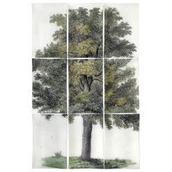 John Derian Oak Tree (9 Pieces) Decoupage