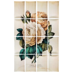 John Derian Rose (16 Pieces) Decoupage