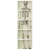 John Derian Skeleton, Back View (5 Pieces)