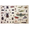 John Derian Company Inc Insects (Roll Of 5 Sheets)