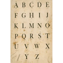 John Derian Company Inc A To Z (Roll Of 5 Sheets)