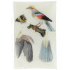 John Derian Bird Parts - FINAL SALE Rectangular Trays 2 John Derian Bird Parts - FINAL SALE Rectangular Trays