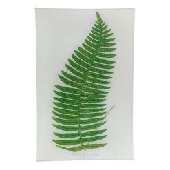 John Derian Leaf XXX (30) - FINAL SALE Rectangular Trays