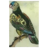John Derian Parrot #3