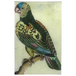 John Derian Parrot #3