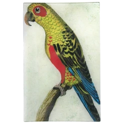 John Derian Parrot #6 - Yellow