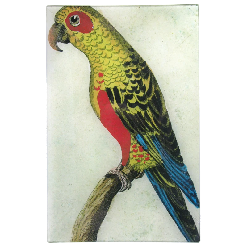 John Derian Parrot #6 - Yellow 3 John Derian Parrot #6 - Yellow