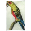 John Derian Parrot #6 Yellow - FINAL SALE