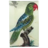 John Derian Parrot #7 - Green - FINAL SALE