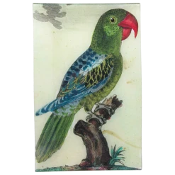 John Derian Parrot #7 - Green - FINAL SALE