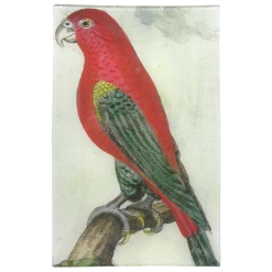 John Derian Parrot #8 - FINAL SALE