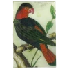 John Derian Parrot #11