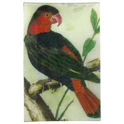 John Derian Parrot #11