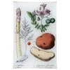 John Derian Decoupage Asparagus, Potato (Kitchen Vegetables)