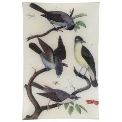 John Derian Rectangular Trays Black Cap - FINAL SALE