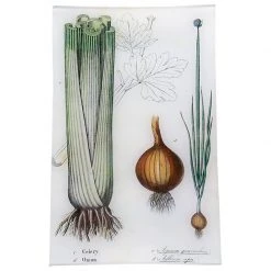 John Derian Rectangular Trays Celery, Onion (Kitchen Vegetables) - FINAL SALE