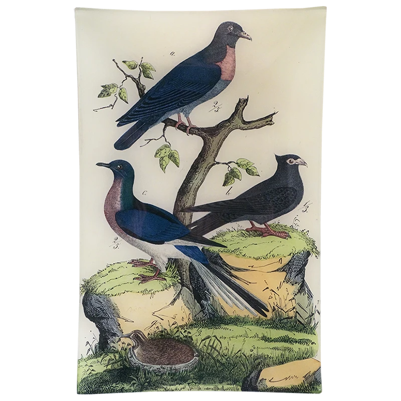 John Derian Decoupage Doves 3 John Derian Decoupage Doves