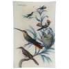 John Derian Hummingbird Decoupage