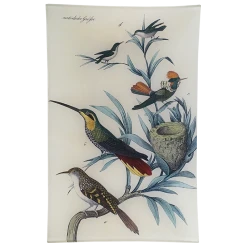 John Derian Hummingbird Decoupage