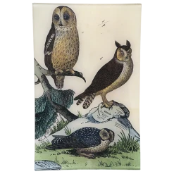 John Derian Decoupage Owl