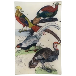 John Derian Pheasants & Friends - FINAL SALE Rectangular Trays