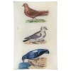 John Derian Pigeons - FINAL SALE
