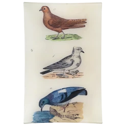 John Derian Pigeons - FINAL SALE
