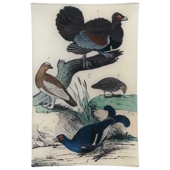 John Derian Rectangular Trays Turkey & Co.- FINAL SALE