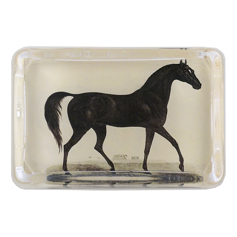 John Derian Arabian Horse 3 John Derian Arabian Horse