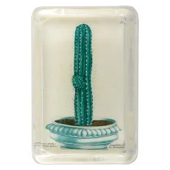 John Derian One Cactus Decoupage