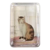 John Derian Decoupage Calm Cat