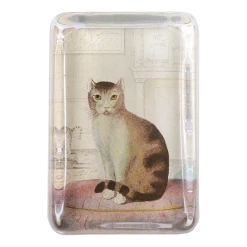 John Derian Decoupage Calm Cat
