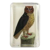 John Derian Horn Owl Decoupage 1 John Derian Horn Owl Decoupage
