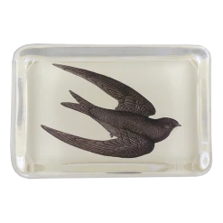 John Derian Swift Decoupage