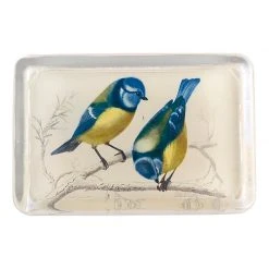 John Derian Yellow Breasted Blue Tit