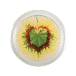 John Derian 4" Coasters Zonale Leaves (#2) - FINAL SALE