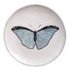 John Derian X ADV Dining & Tabletop Blue Butterfly Plate
