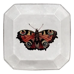 John Derian X ADV Butterfly Square Plate