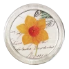 John Derian 4" Coasters Original Flowers (Daffodil) - FINAL SALE