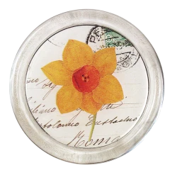 John Derian 4" Coasters Original Flowers (Daffodil) - FINAL SALE