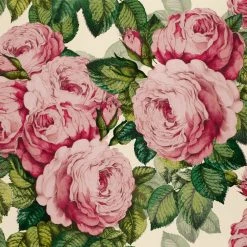 Designers Guild The Rose Tuberose Wallpaper