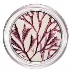 John Derian 4" Coasters Sea Plant 3 - FINAL SALE